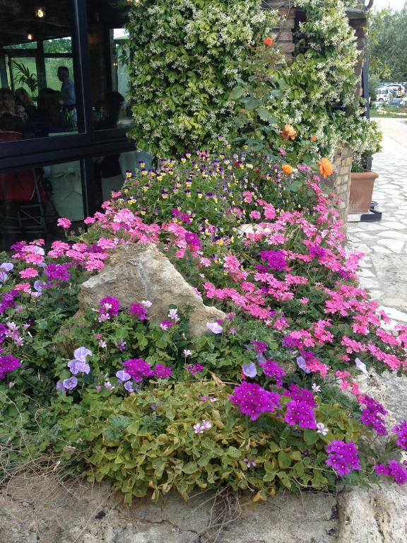 Pensjonat Agriturismo Campo Antico Orte Zewnętrze zdjęcie